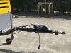 Atlas Copco XAVS 186 JD - N Foto 4 thumbnail