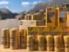 Caterpillar Large - After 1000 Working Hours Foto 1 thumbnail