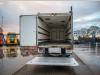 Renault PREMIUM 300DXI+POUSSIN/CHICKEN/KUIKEN/KÛKEN+DHOLLANDIA Foto 5 thumbnail