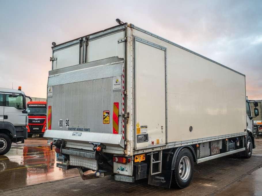 Renault PREMIUM 300DXI+POUSSIN/CHICKEN/KUIKEN/KÛKEN+DHOLLANDIA Foto 3
