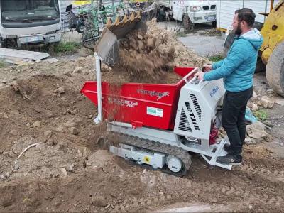 Rotair RAMPICAR R 100 AE HONDA - CON BENNA DENTATA per MOVIMENTO TERRA - NOVITA' ASSOLUTA vendida por Giordano Srl