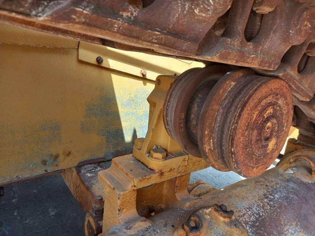 Caterpillar D6R LGP (Abu Dhabi) Foto 17