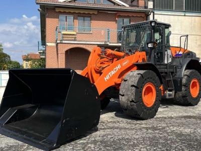 Hitachi ZW220-5B vendida por Massucco T. Srl