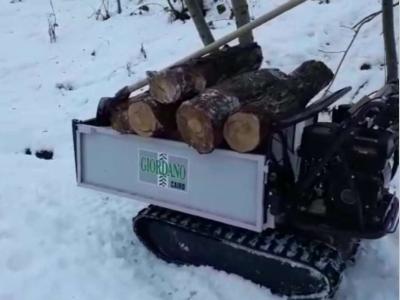 Gior 600 Kg CASSONE AGRICOLO RIBALTAMENTO IDRAULICO SPONDE SMONTABILI vendida por Giordano Srl