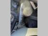 Iveco STRALIS 450 Foto 6 thumbnail