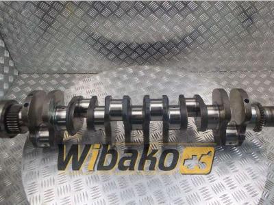 Iveco F4AE0681B vendida por Wibako