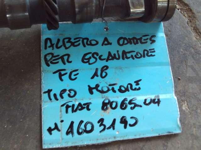 Árbol de levas para Fiat Allis FE18 - MOTORE FIAT 8065.04 - N. 4603190 Foto 4