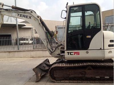 Terex TC75 vendida por Galli Battista Srl