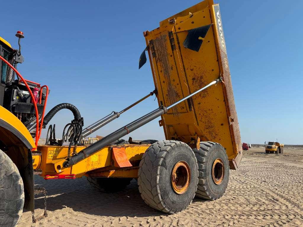 Volvo A40G (EXW - Abu Dhabi) Foto 23