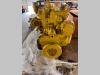 Caterpillar C6.4 Foto 3 thumbnail