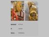 Caterpillar TRASMISSIONE USATA CAT 6Y7414 Foto 2 thumbnail