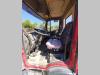Iveco 80E28 Foto 5 thumbnail