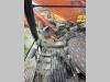 Hitachi ZX350LCN Foto 24 thumbnail