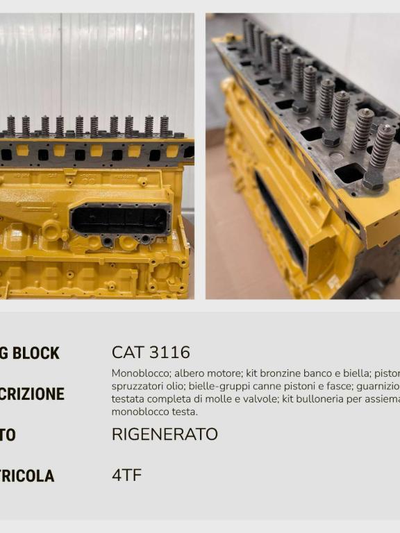 Caterpillar LONG BLOCK REVISIONATO CAT 3116 Foto 2