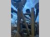 COMAN PERFORATRICE Foto 7 thumbnail