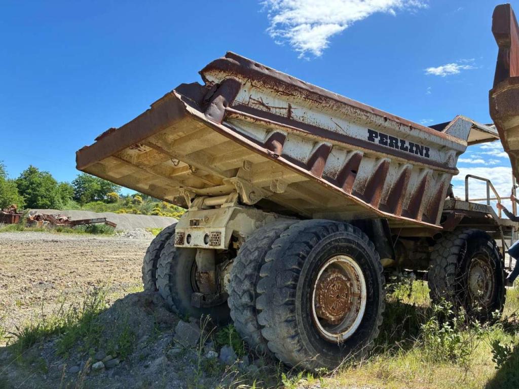 Perlini DP405 Foto 11