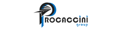 Vendedor: Procaccini Group Nord
