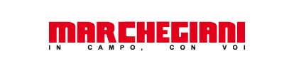 Logo  Pontina